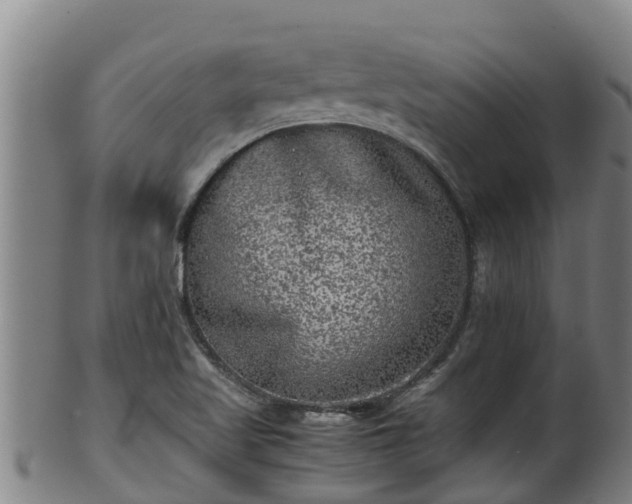 X0000100231509200806061356