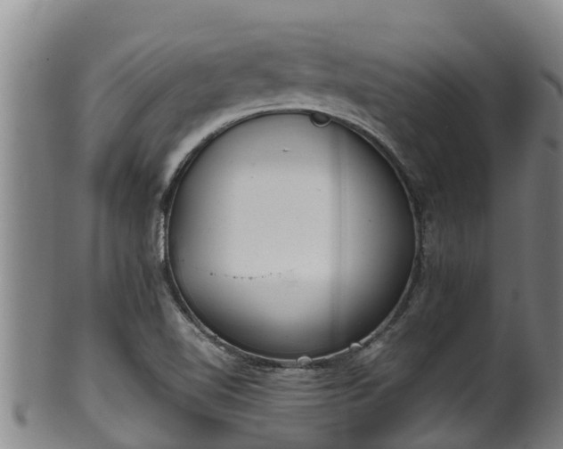 X0000100231510200806061356