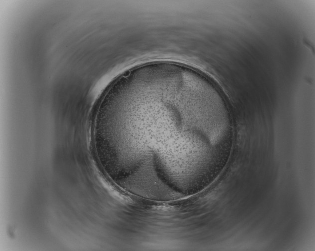 X0000100231511200806061356