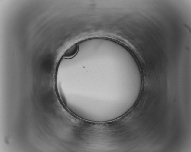 X0000100231512200806061356