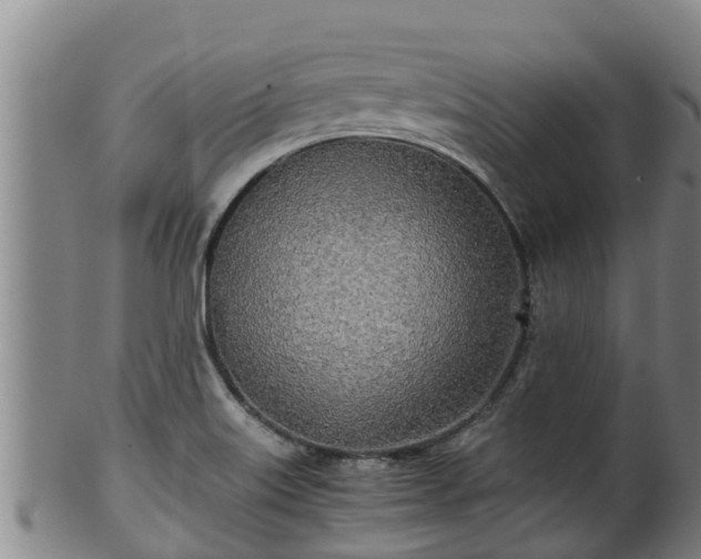 X0000100231515200806061356