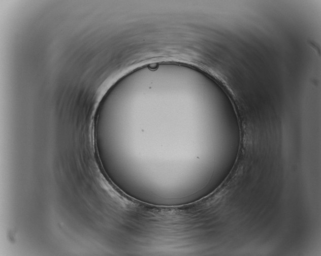 X0000100231516200806061356