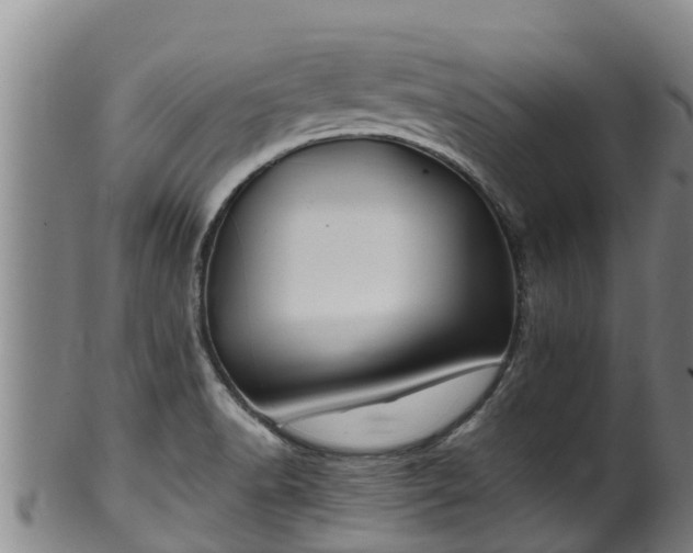 X0000100231518200806061356