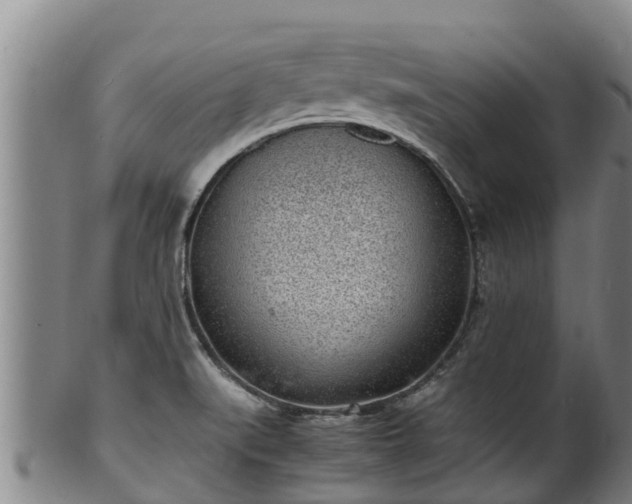 X0000100231519200806061356