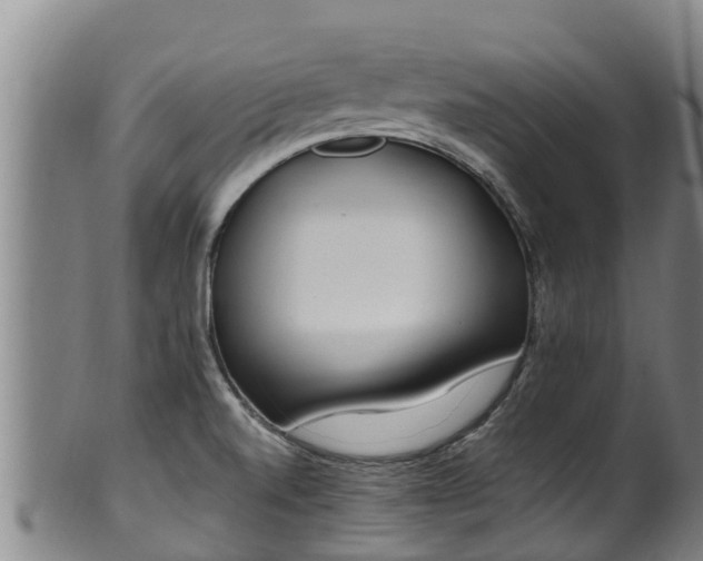 X0000100231520200806061356