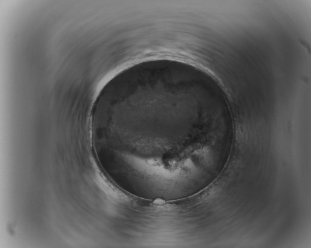 X0000100231522200806061356