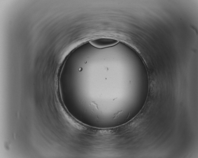 X0000100231523200806061356