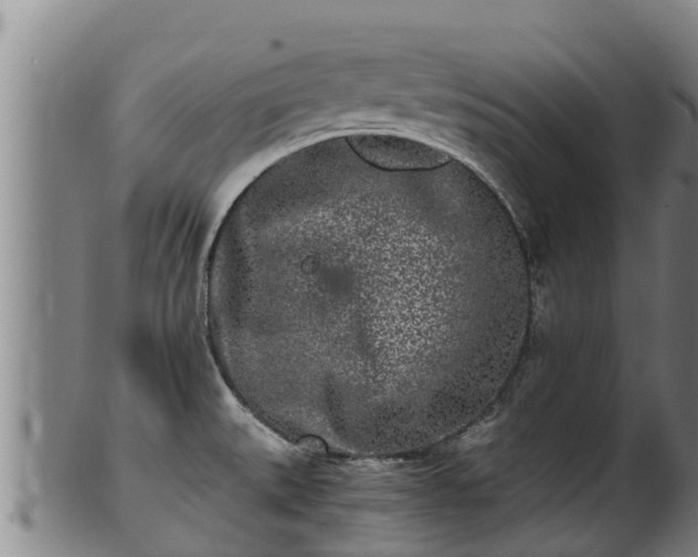 X0000100231527200806061356