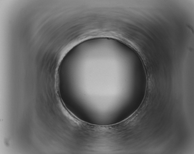 X0000100231528200806061356