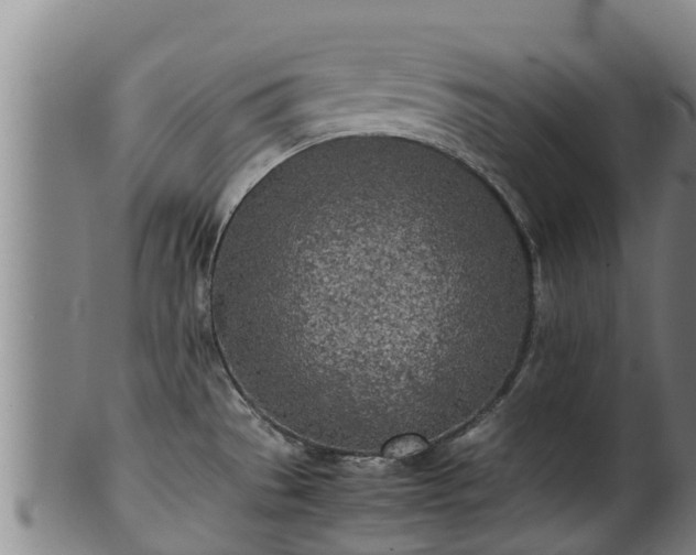 X0000100231529200806061356