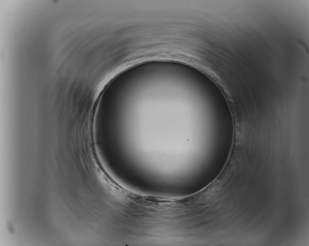 X0000100231530200806061356