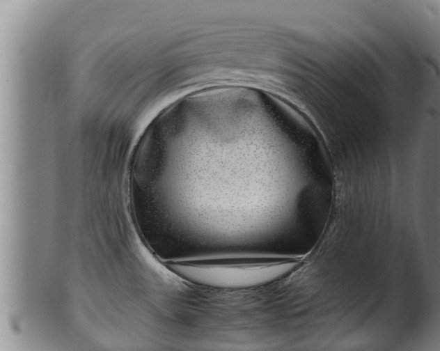 X0000100231531200806061356