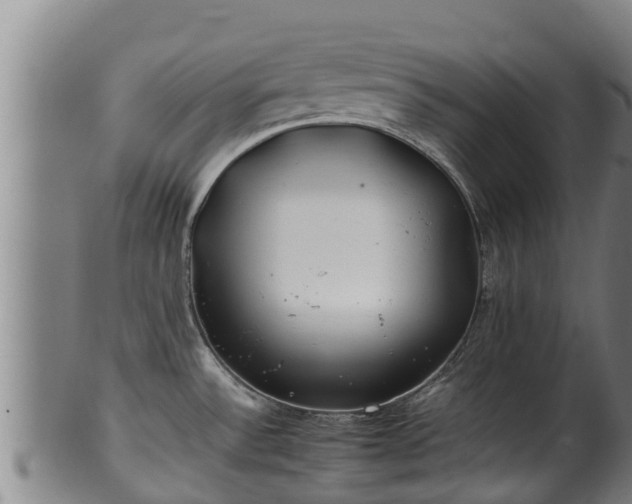 X0000100231532200806061356