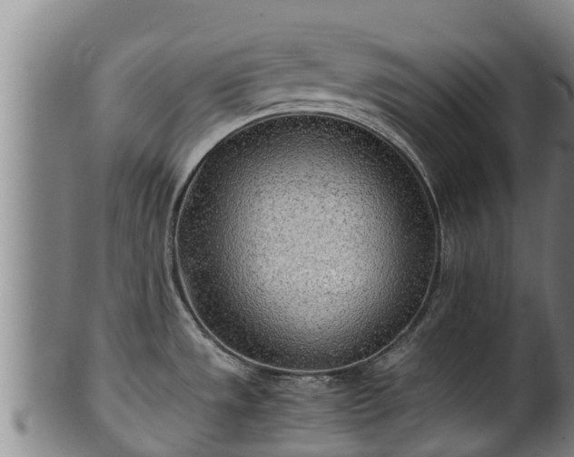 X0000100231533200806061357