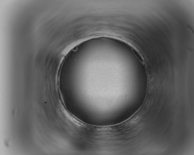 X0000100231535200806061357