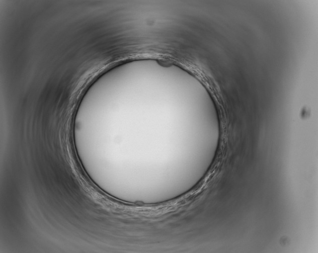 X0000100230001200806131346