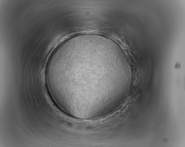 X0000100230002200806131346