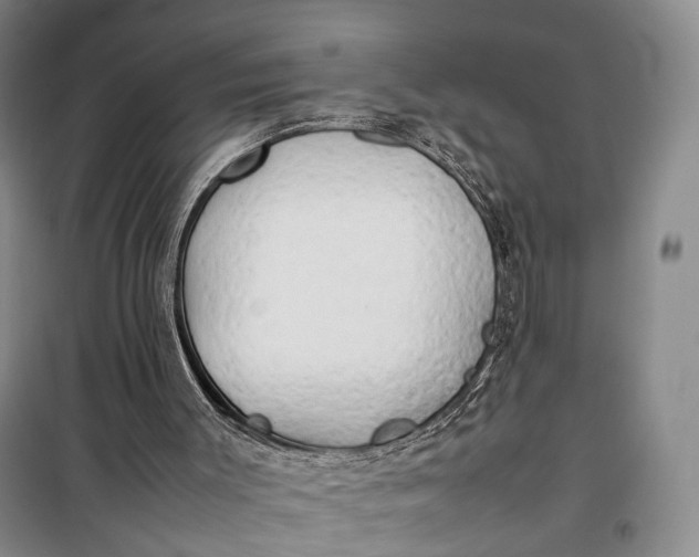 X0000100230003200806131346