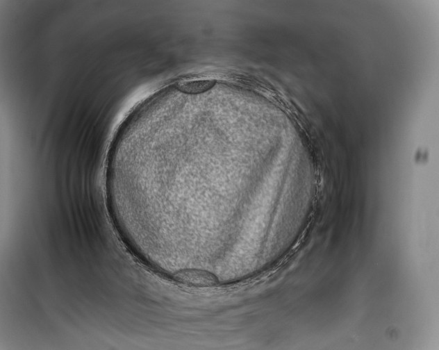 X0000100230006200806131346