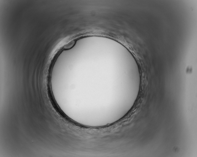 X0000100230007200806131346