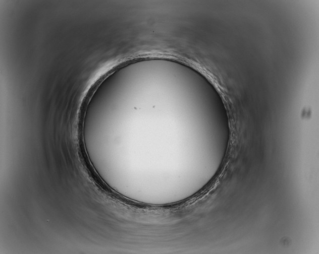 X0000100230008200806131346