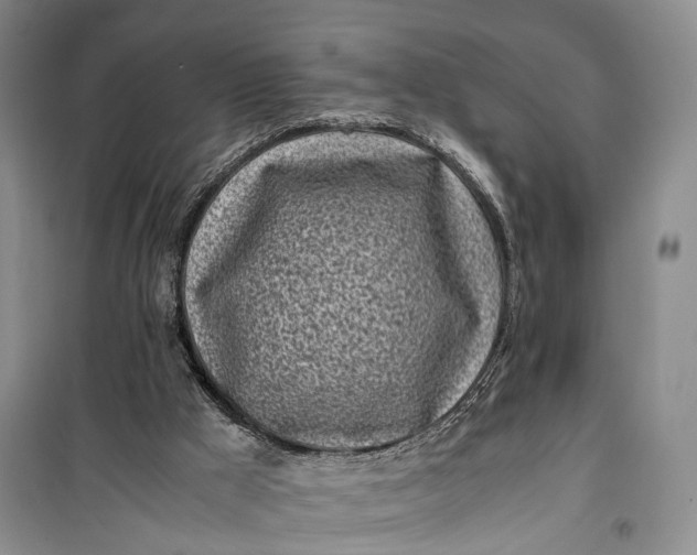 X0000100230009200806131346