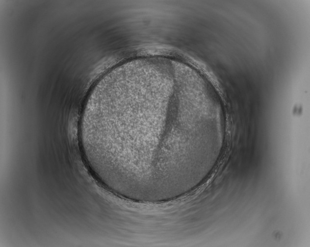 X0000100230010200806131346