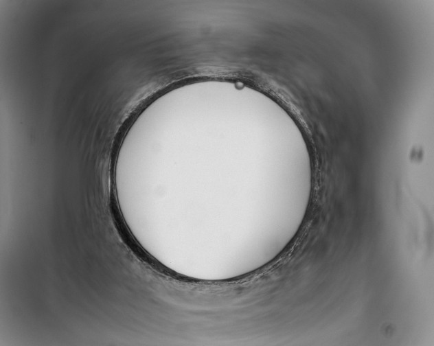 X0000100230011200806131346