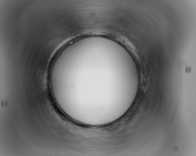 X0000100230012200806131346