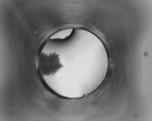 X0000100230013200806131346