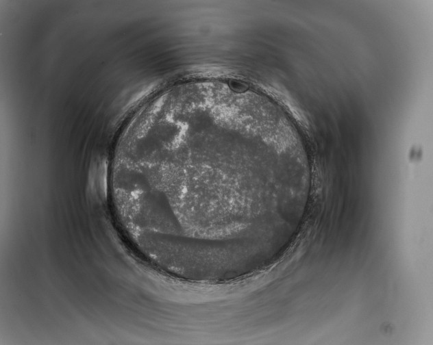 X0000100230014200806131346