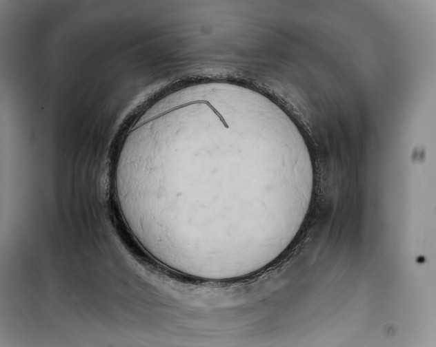 X0000100230016200806131346