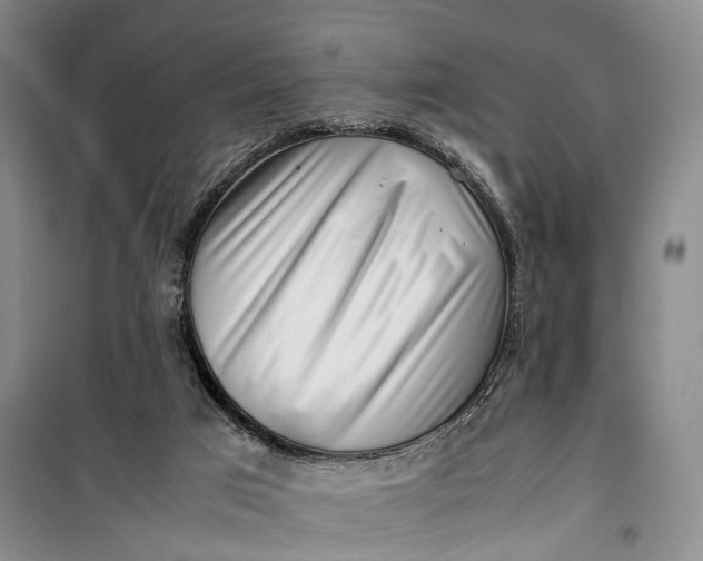 X0000100230017200806131346