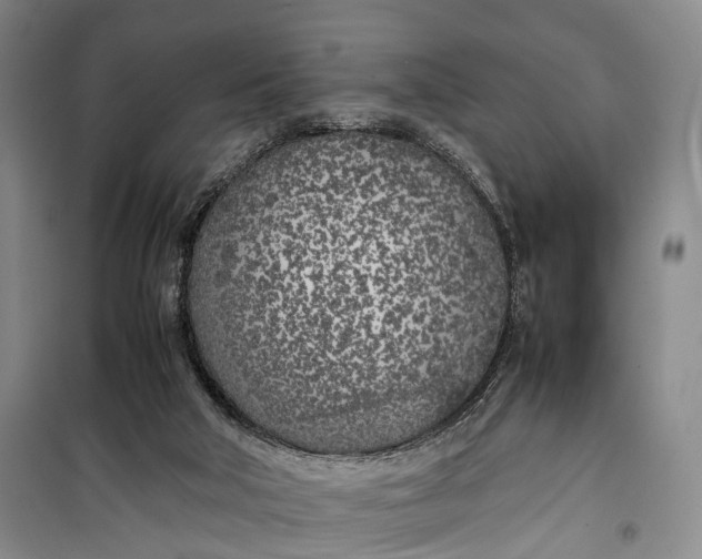 X0000100230018200806131346