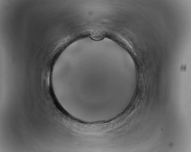 X0000100230019200806131346