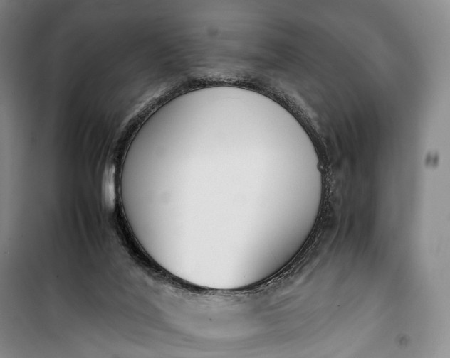 X0000100230020200806131346