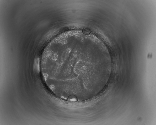 X0000100230022200806131346