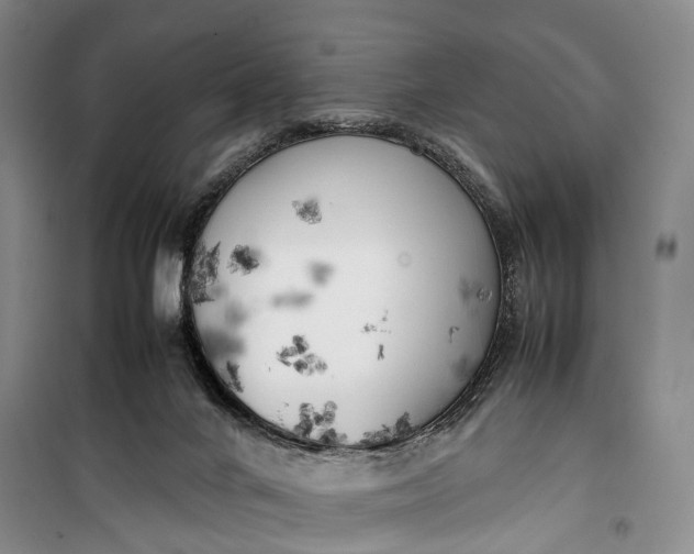 X0000100230024200806131346