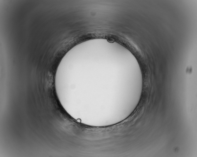 X0000100230025200806131346