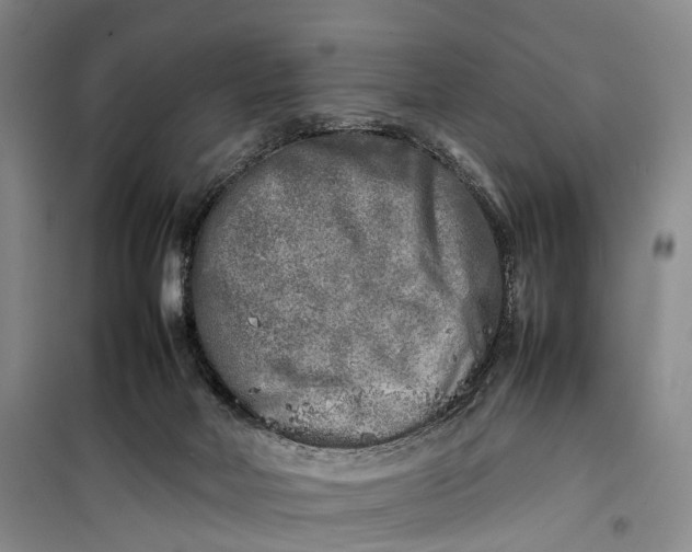 X0000100230026200806131346