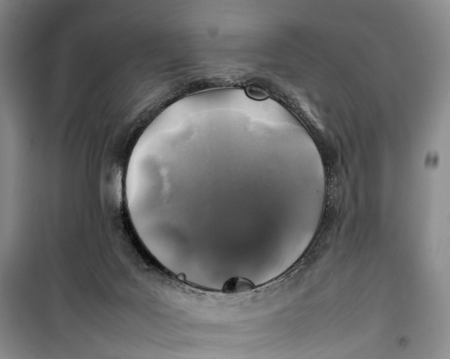 X0000100230027200806131346