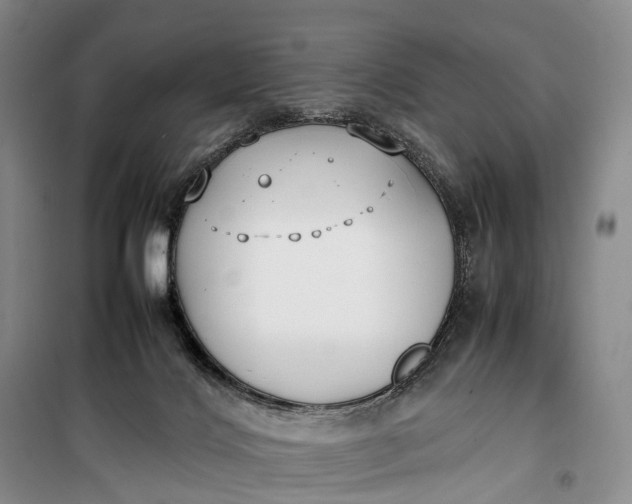 X0000100230028200806131346