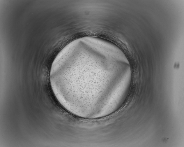 X0000100230029200806131346