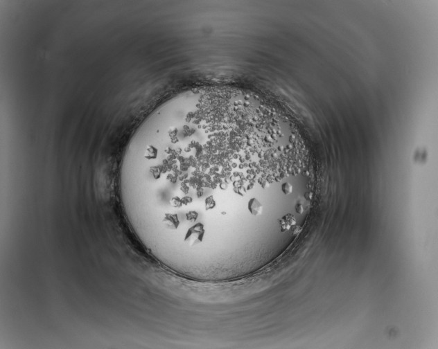 X0000100230030200806131346