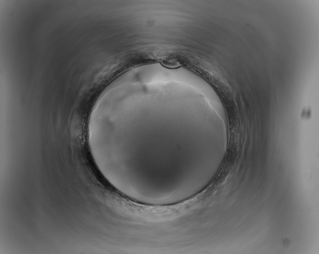 X0000100230031200806131346