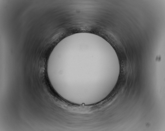 X0000100230032200806131346