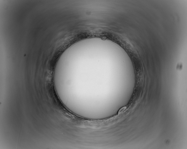 X0000100230033200806131346