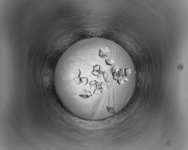 X0000100230034200806131346