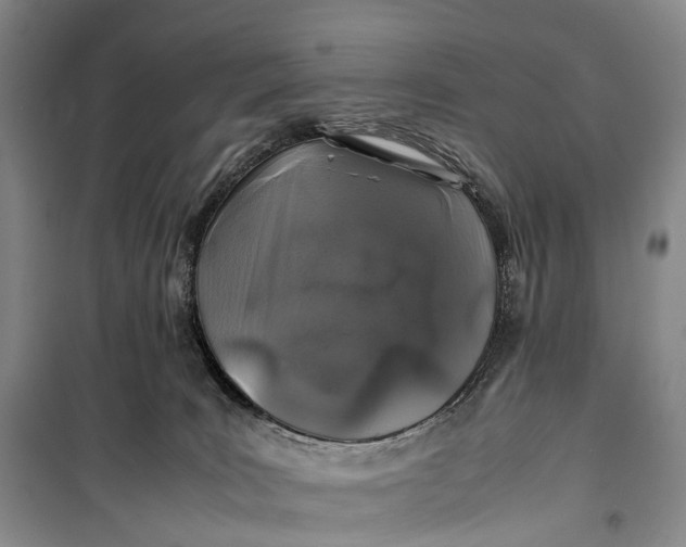 X0000100230035200806131346