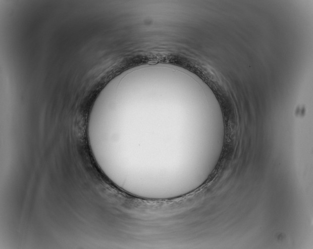 X0000100230037200806131346